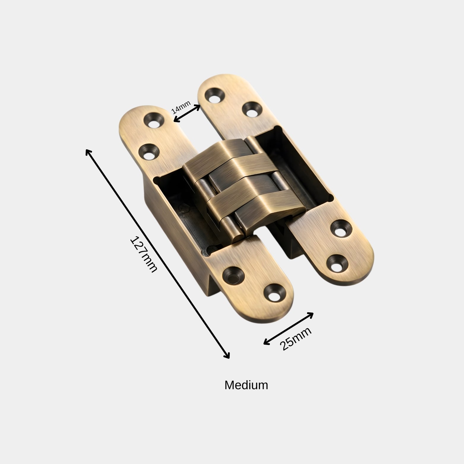 Premium Antique Brass Concealed Hinge for Luxury Doors