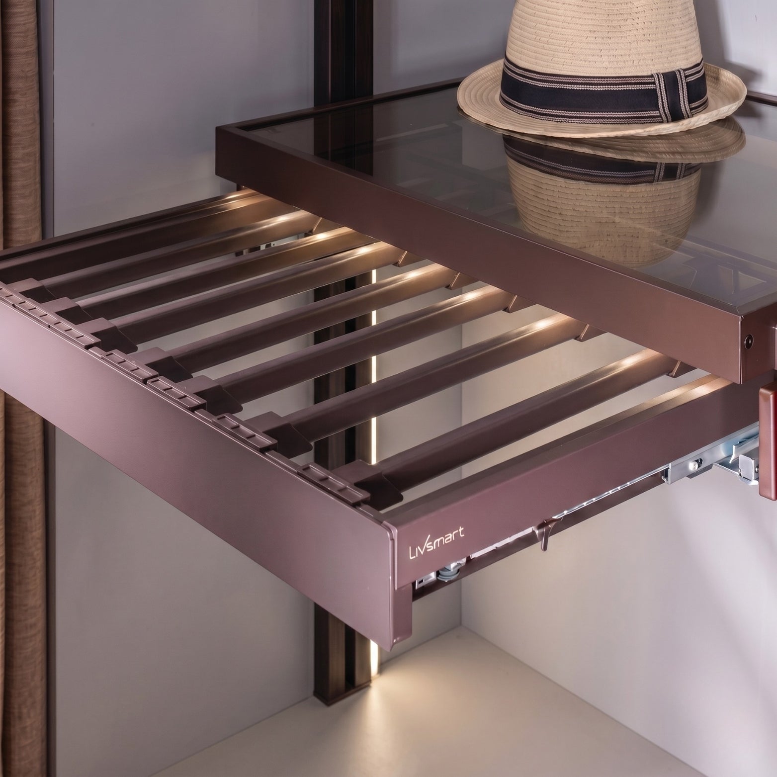 Empty Ebco Livsmart soft-close wardrobe pull-out frame showing the telescopic runner mechanism and individual hanger slots, available at SS Hardware Bangalore